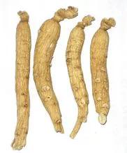 人参大补元气什么意思,人参补元气最佳方法