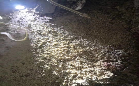 杭州写字楼白蚁防治办法,白蚁防治最有效的方法有哪些