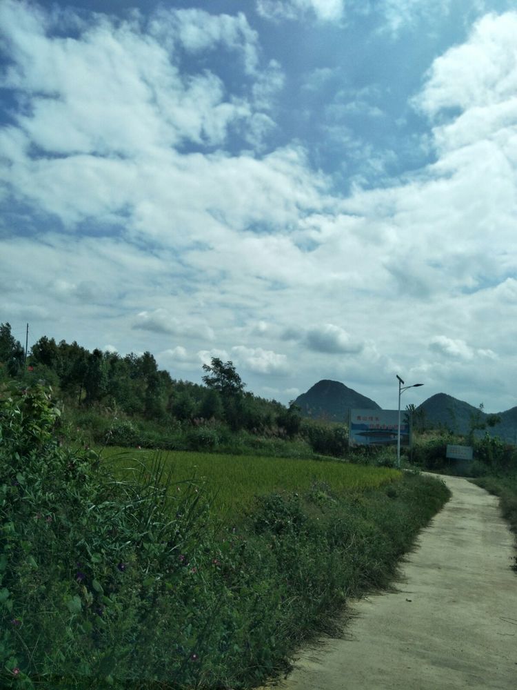 种地用的自制酵素,酵素种地效果怎么样