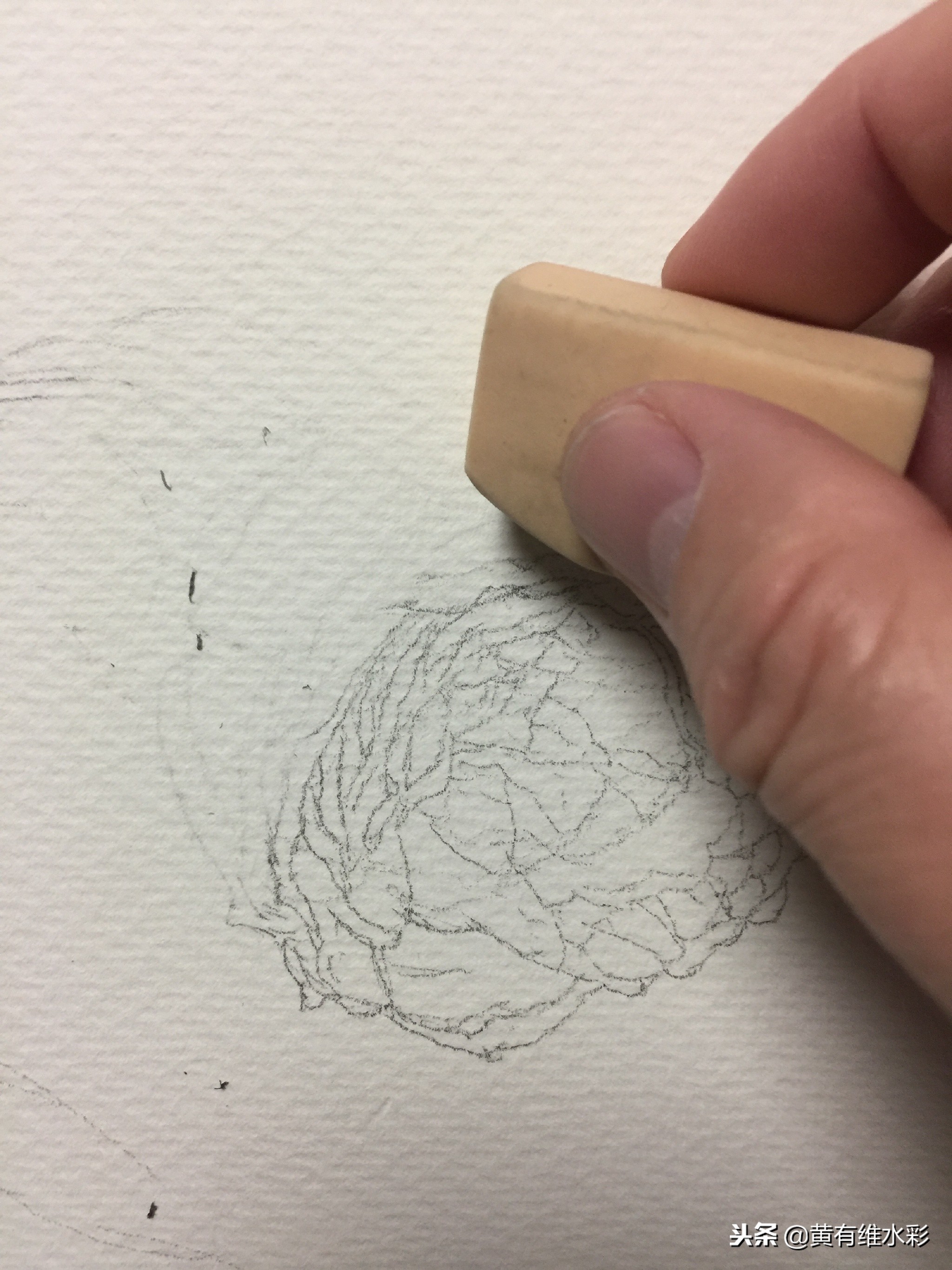 水彩绘画教程简单玫瑰,水彩步骤图花卉