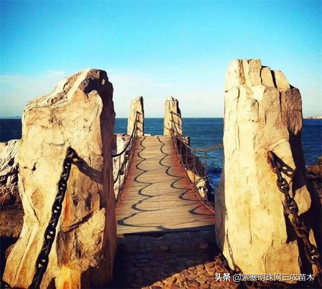 长岛值得去的渔家乐,长岛美丽的海岛