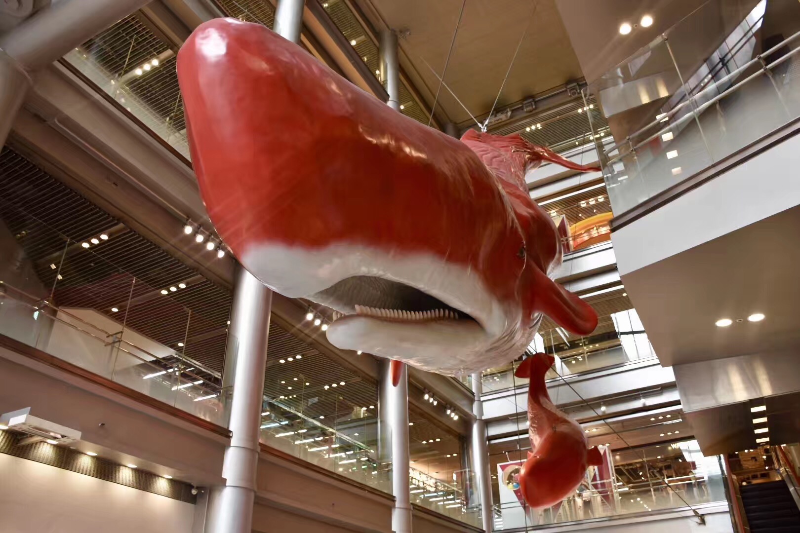 大阪梅田站有什么好吃的东西,大阪梅田适合中年人去的商场