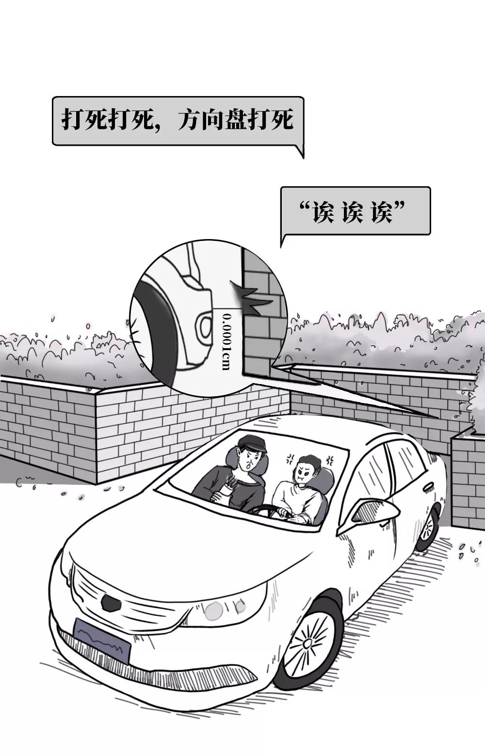 驾照本2016,驾照本大全