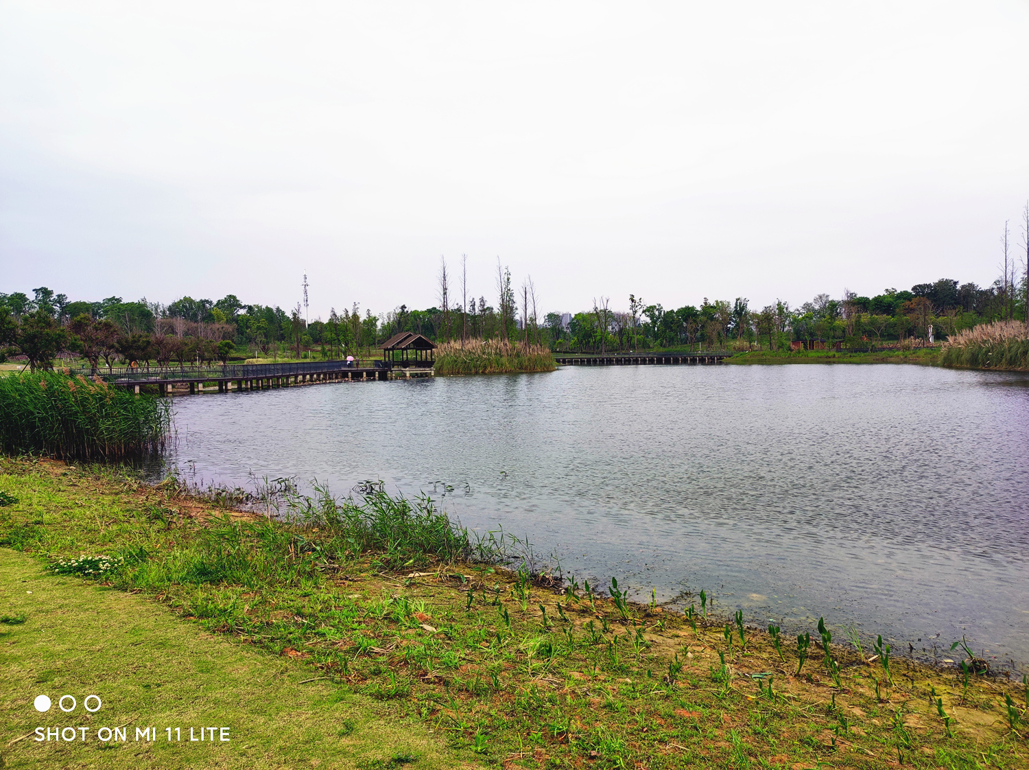 小米11青春版值得入手吗现在,小米11青春版目前还值得买吗