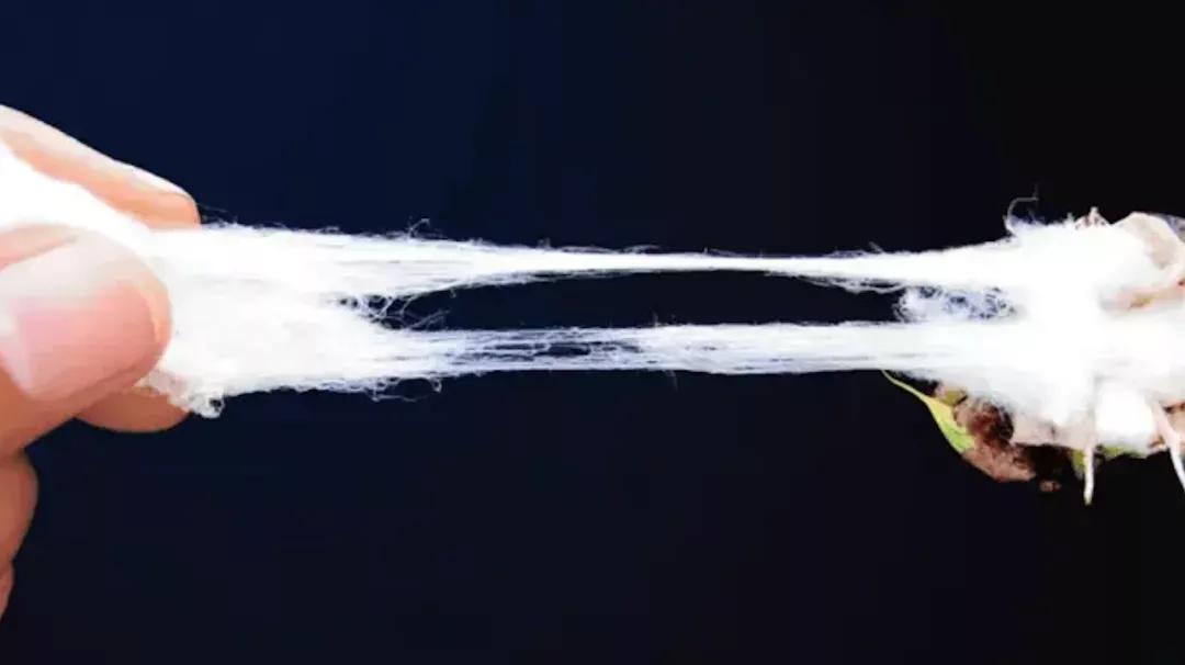 生态棉与棉花哪个好一些,棉花怎么分类新疆棉或细绒棉