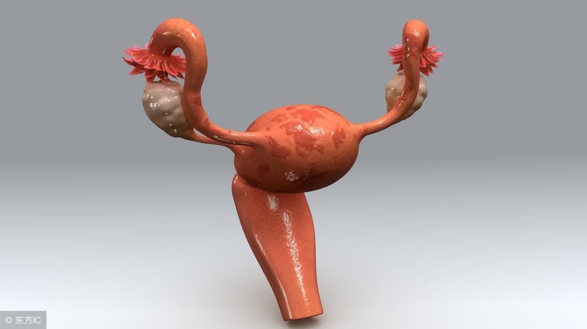 宫颈息肉手术感染会出现哪些症状,宫颈息肉锥切后感染有什么症状