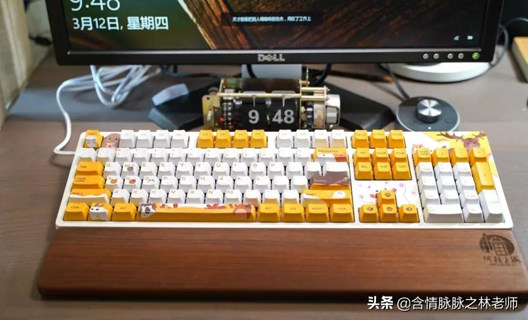 可爱的送给女孩子治愈的礼物,治愈系礼物送女友