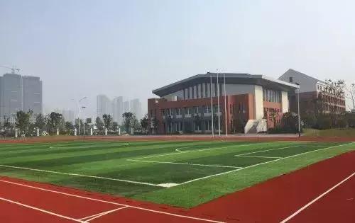 长沙新增多少小学,长沙各区小学学校分布情况