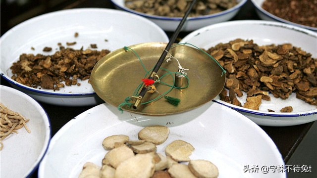 10个冷知识：用手触摸“癞蛤蟆”，手上不会起疙瘩