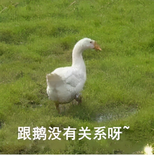 不同膝盖疼痛是暗示什么,不同位置的膝盖疼