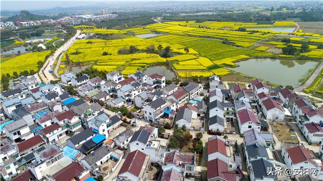 人民日报见证中国奋进40年,南京庆祝解放70周年纪念日