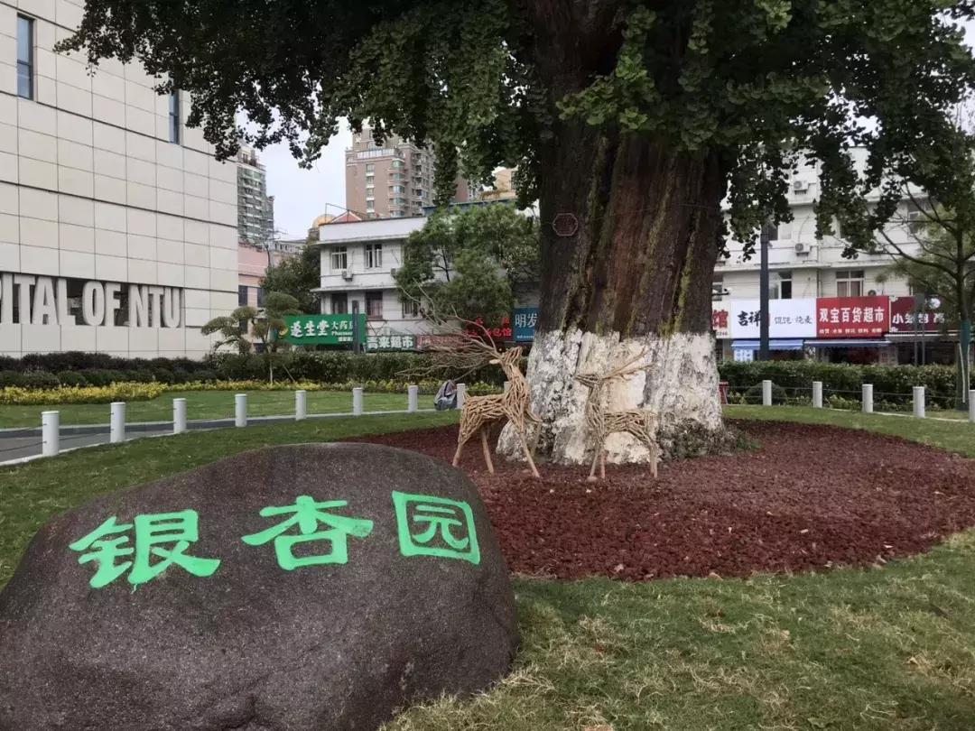 通大附院新门诊大楼,通大附院新门诊楼效果图