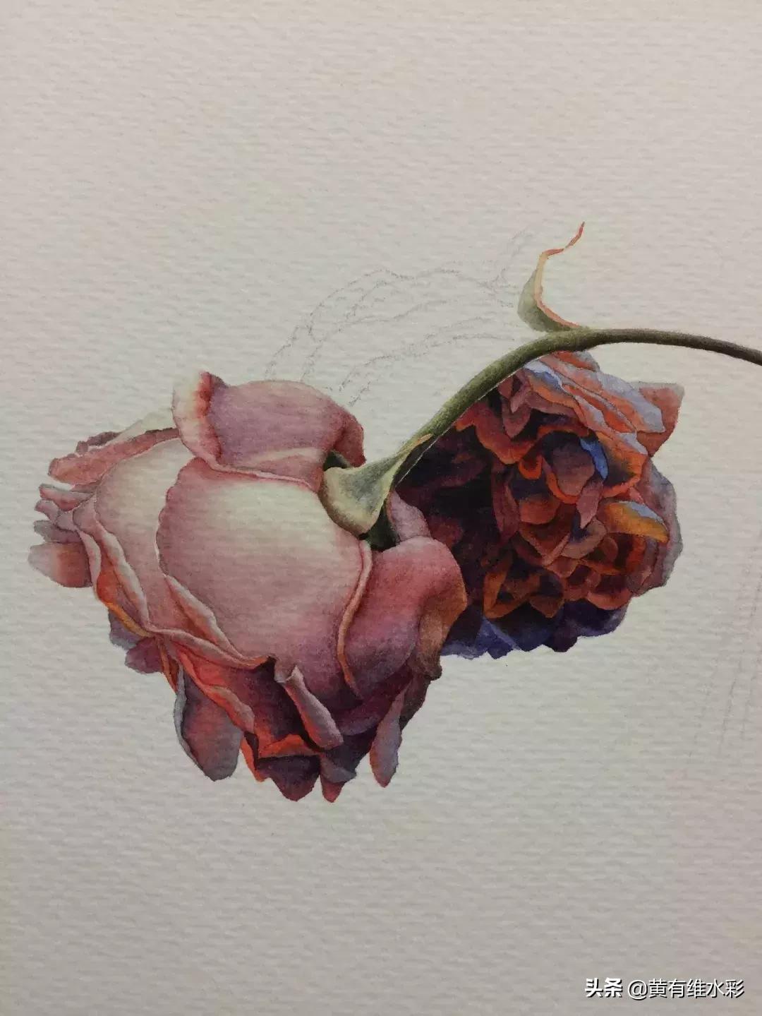 33朵玫瑰制作全过程,英伦花教程