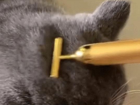 小米有品黄金棒,小米黄金棒