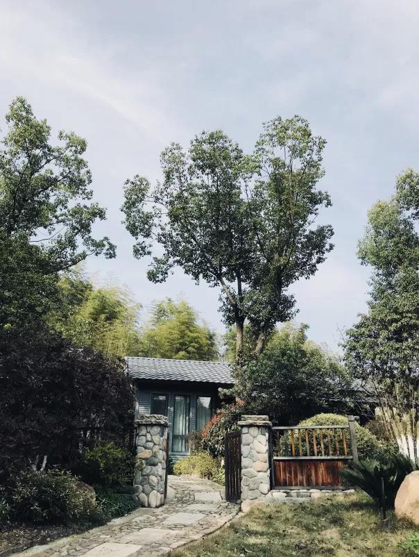 上新｜泡泡屋、树屋、竹苑，刷爆朋友圈的美宿又来了