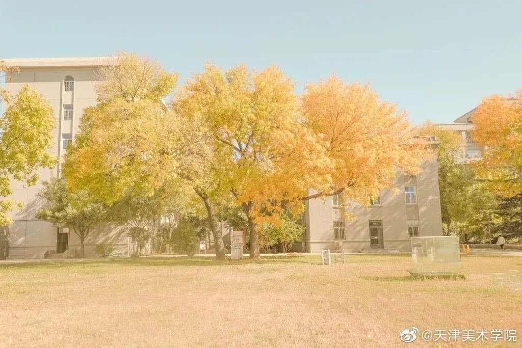 九大美院校园风景,中国九大美院校园风采