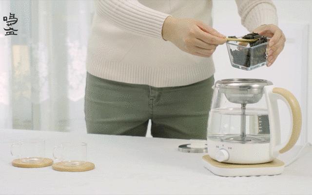 养生壶煮水果茶的茶具,煮茶养生茶具