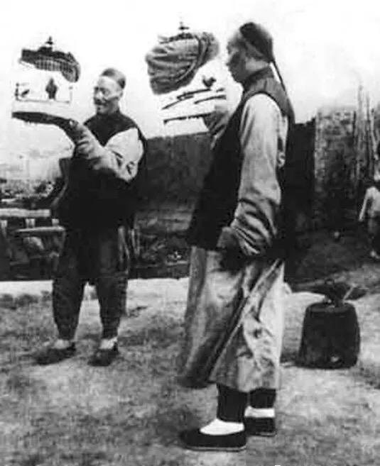 为什么说靛颏鸟是鸟中君子,鸟中君子蓝靛颏