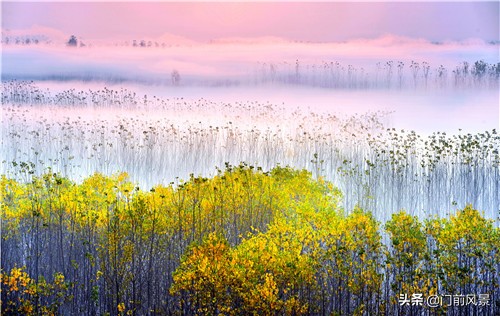 何以解烦唯有听歌,何以解忧愁唯有静心