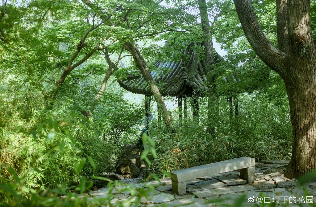 在苏州清洗家电,在苏州清宫住院的费用怎么报销