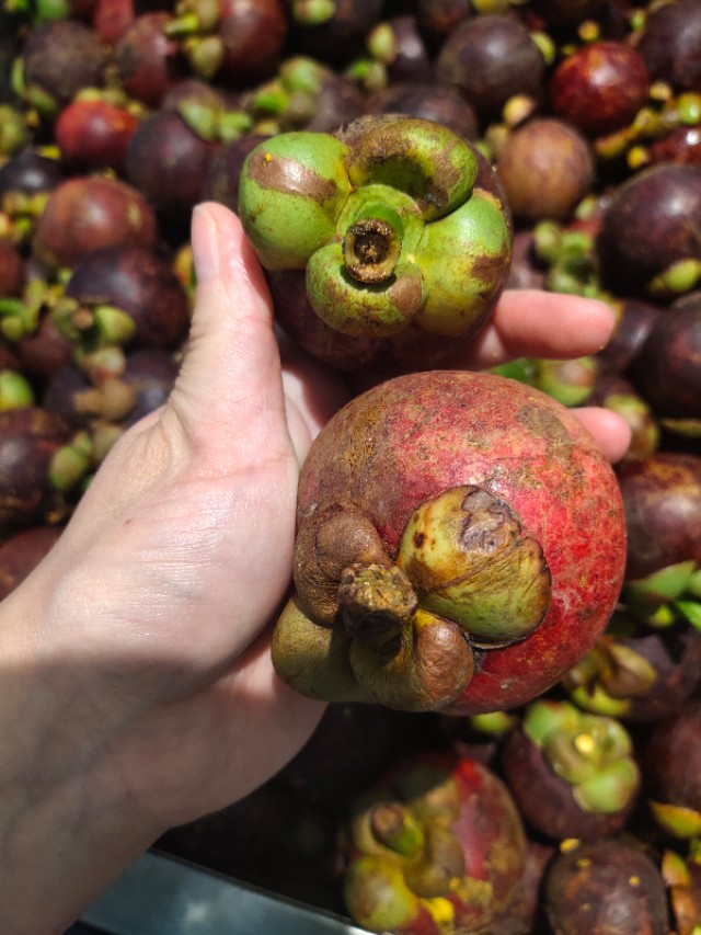 山竹挑选看三点,山竹怎么看才知道里面是好的