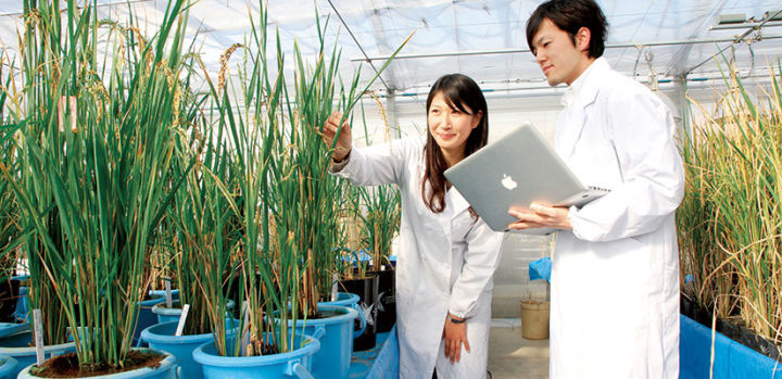 日本一流的综合性国立大学之一——名古屋大学