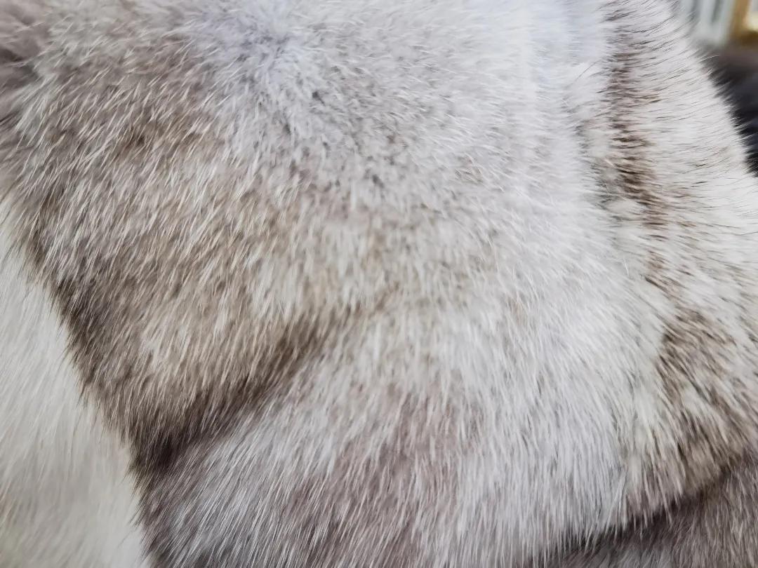 貂毛皮草怎么选,买皮草买什么皮草最好