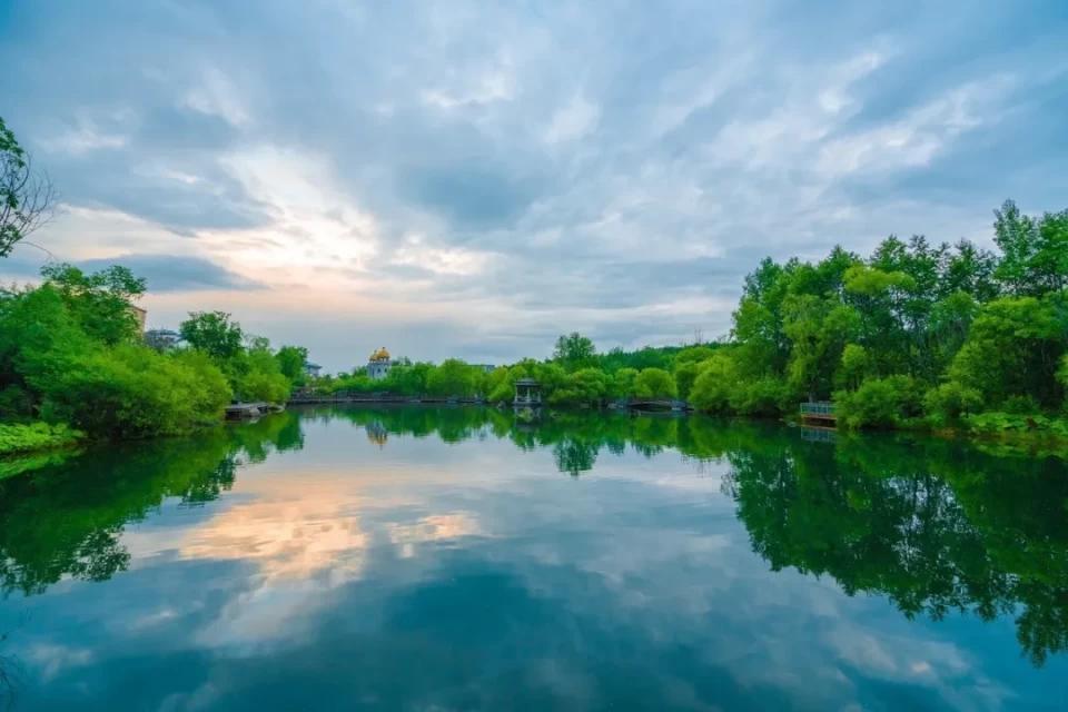 东北黑蜂雪蜜是骗人的吗,东北黑蜂椴树雪蜜真假