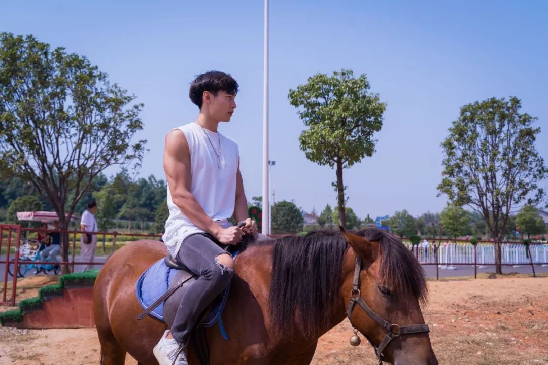 秋天的沙湖美不胜收,洋沙湖旅游