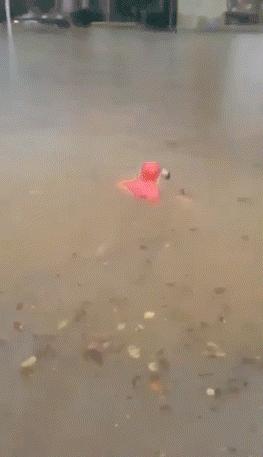 电瓶车升级轮毂,电瓶车轮毂升级