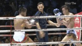 泰拳膝盖肘击的威力有多大,泰拳杀手最新视频