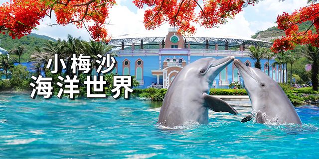 深圳哪些地方生日当天优惠,深圳适合过生日的高端地方推荐