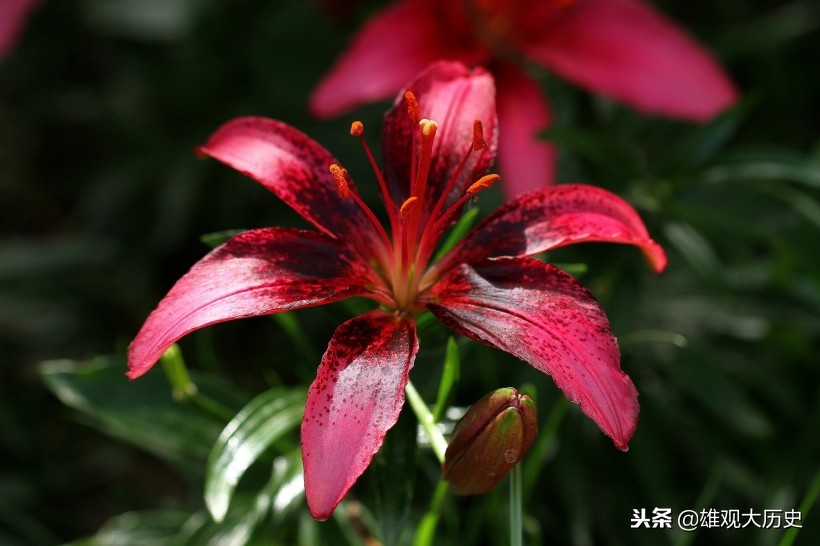 牛啊，写诗也能骂人，这十首讽刺意味的诗歌，第六首发人深省