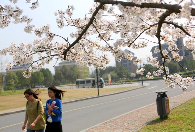 学计算机是报211还是普通双非大学,想学计算机专业又考不上怎么办