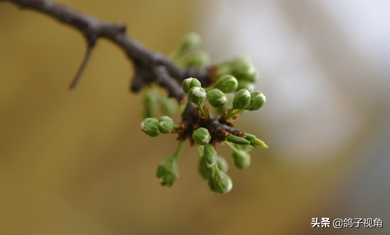 难容之事不妨付之一笑,生气时能够坦然一笑是一种大度