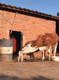 儿子心理有问题怎么办,儿子心理有毛病怎么办