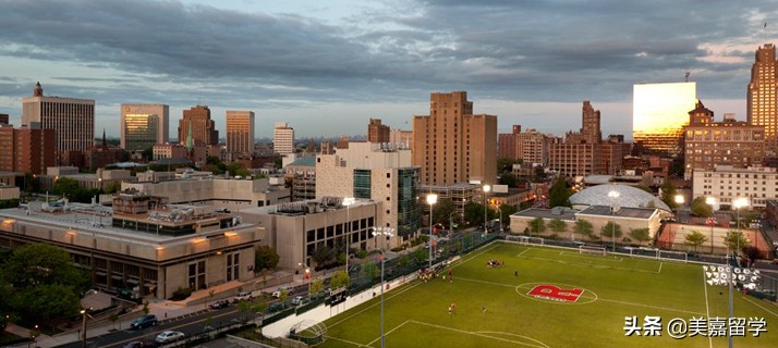 生物信息专业解析,生物信息分析文章
