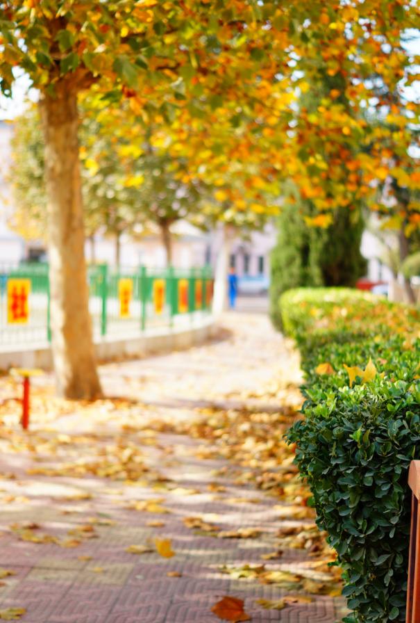 石家庄十五中是几梯队,石家庄15中为啥没初中