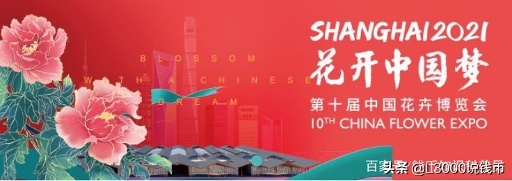 第十次花博会会花,花博会景点有哪些花展