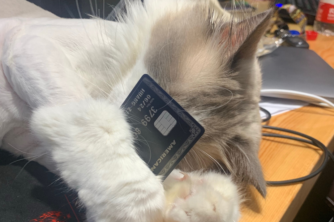 美国运通黑卡权利,美国运通银行黑卡申请