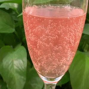 多亏这几块钱的快乐，最近我每天都幸福得冒泡