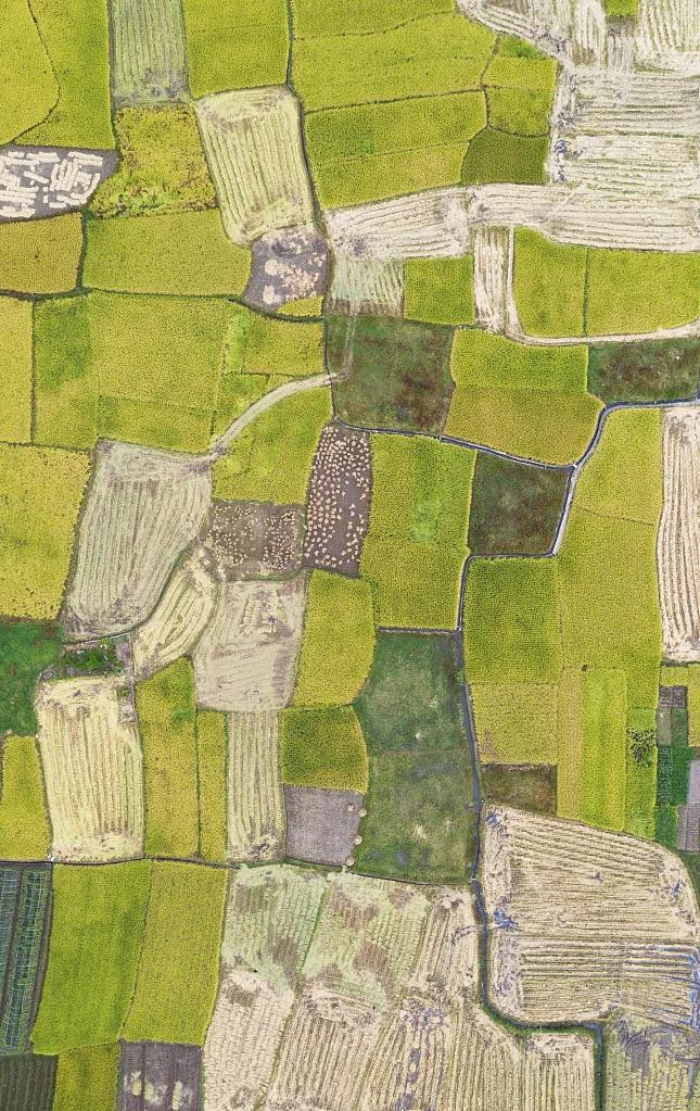 什么是温州游戏,什么是温州