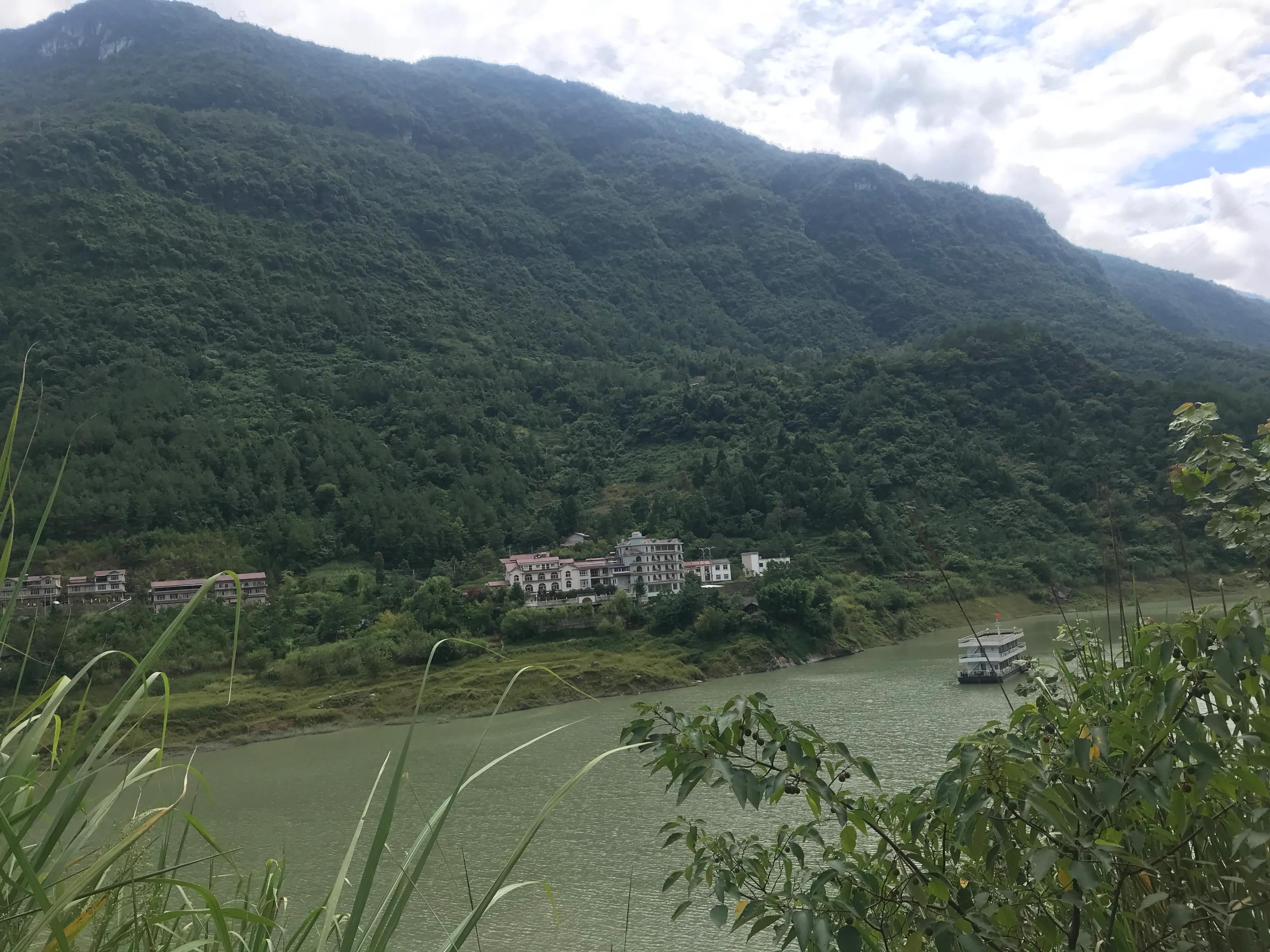 山远近路横斜读音,山远近路横斜青旗沽酒有人家意思