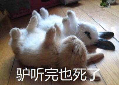 什么鸡汤补肾最好,什么鸡汤可以补肾