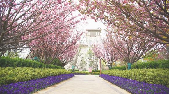 上千大片带你看尽恒大绝美园林,恒大园林实景