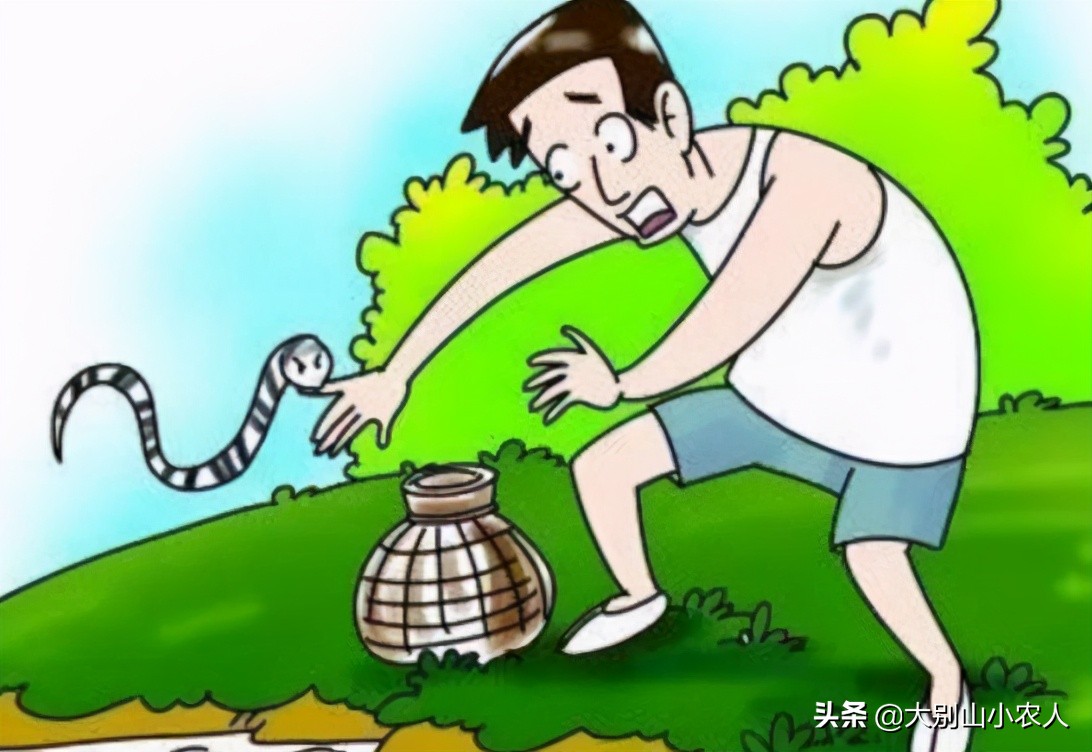 真•全村吃饭蛇:性格温顺但毒素却能深入骨髓,就是被咬后要睡觉