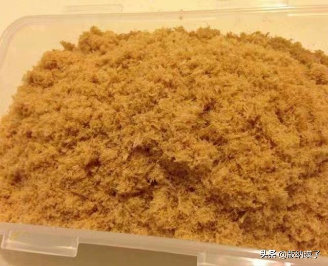 自制肉松怎么才能蓬松,如何做出松软拉丝的肉松