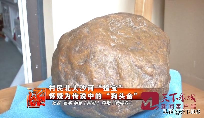 河滩上捡的狗头金,河边捡到超大狗头金