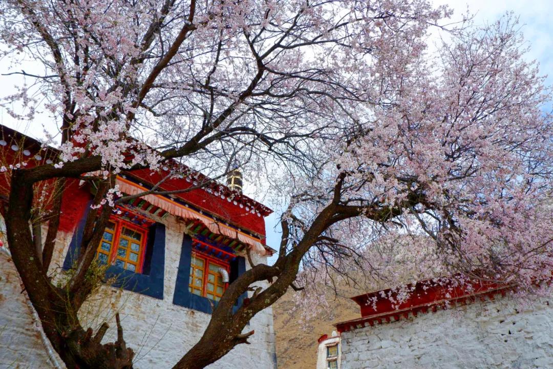 拍拉萨全景哪里最好,拉萨最适合拍照的地方