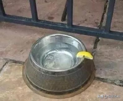 高铁可以在前一个站坐车么,高铁坐过站出得去吗